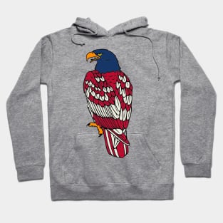 American Eagle USA Flag Hoodie